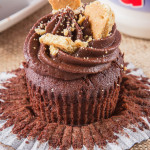 My S'mores Cupcakes are the perfect Summer treat in cupcake form! Rich chocolate cake, filled with marshmallow fluff and topped with velvety smooth chocolate frosting and crushed digestives.