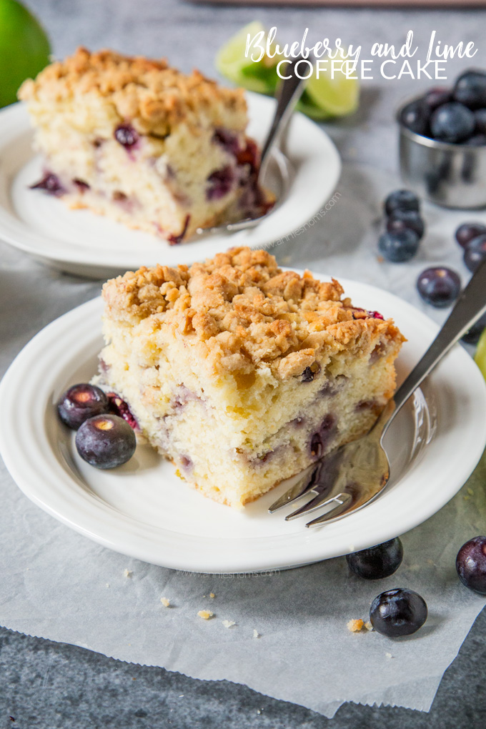 A soft and juicy Blueberry and Lime cake topped with the most amazing crunchy crumb topping. The perfect zesty and tender cake to enjoy with a cup of coffee!