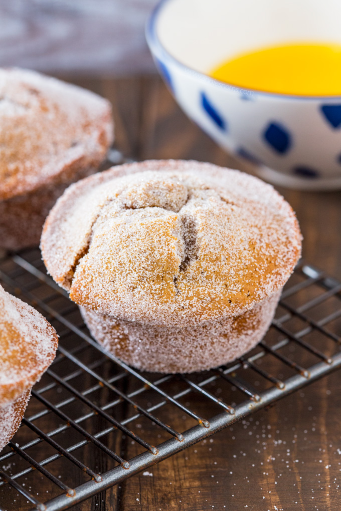 These doughnut muffins are soft, sweet and jam packed with rich Biscoff. Baked and then rolled in sugar, they're the perfect way to get your Biscoff fix!