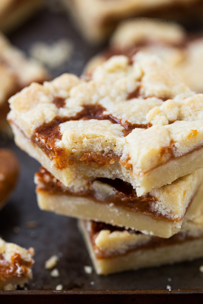 Rich, sweet caramel sandwiched between two layers of buttery shortbread; these little Caramel Crumb Bars are just perfect for when you need a sweet fix!