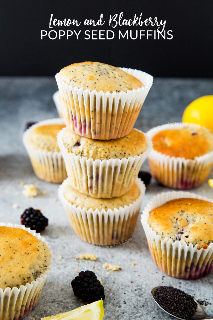 Soft and fluffy Lemon and Blackberry muffins filled with crunchy little poppy seeds; the perfect, flavour filled way to kick start your day!