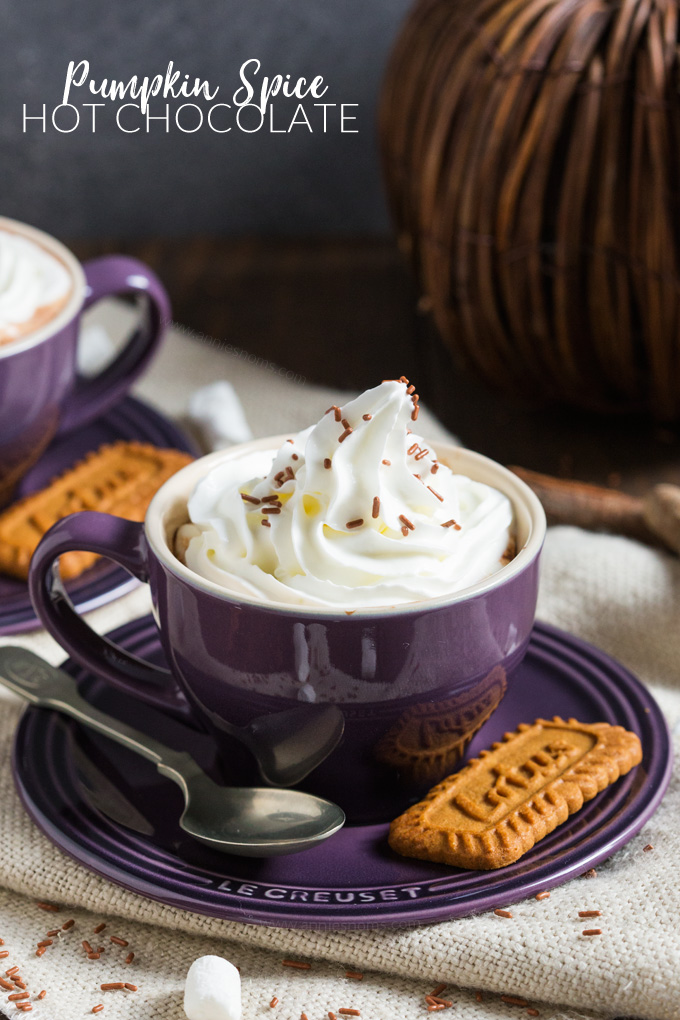 Rich and velvety smooth Pumpkin Spice Hot Chocolate is THE beverage to get you through any cold Autumn night. Sweet, rich and spicy, it also has real pumpkin in!