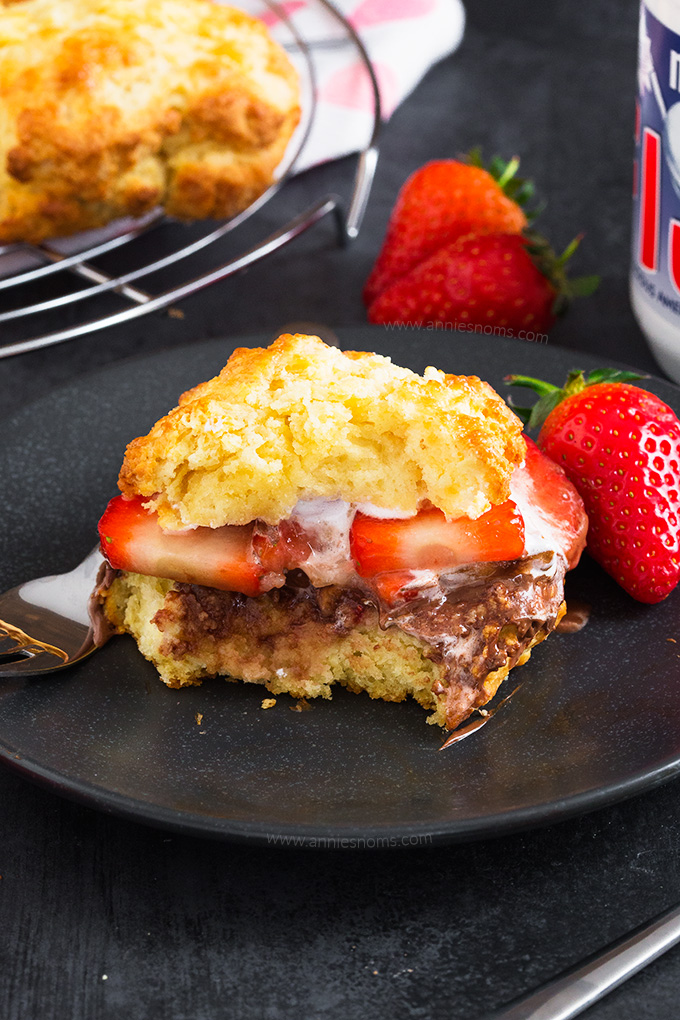 These Shortcakes marry together strawberry shortcakes and s'mores to create one super delicious, decadent dessert that everyone will love!