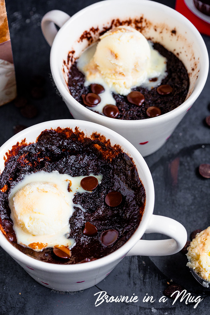 This Brownie in a Mug is dairy free and ready in under 5 minutes! Super rich, fudgy and decadent, it is the perfect single serving dessert!